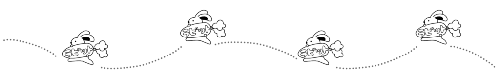画像に alt 属性が指定されていません。ファイル名: efe156d4ccf5aa325a1bae1d8373ba1f-e1712993239353-1024x152.png